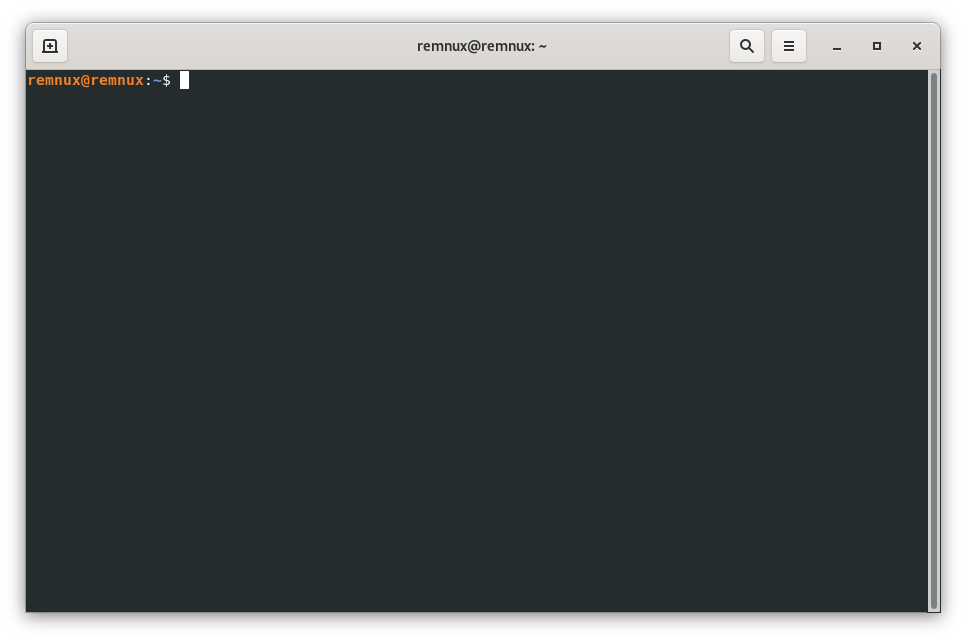 Screenshot of the REMnux virtual machine in its inicial status