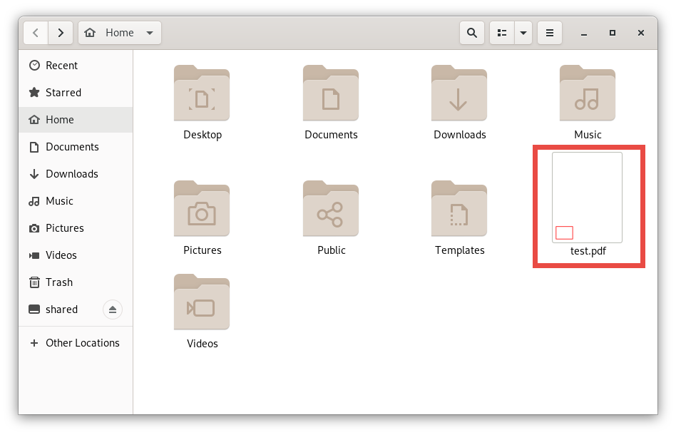 Screenshot of the file explorer application inside REMnux with the file test.pdf highlighted