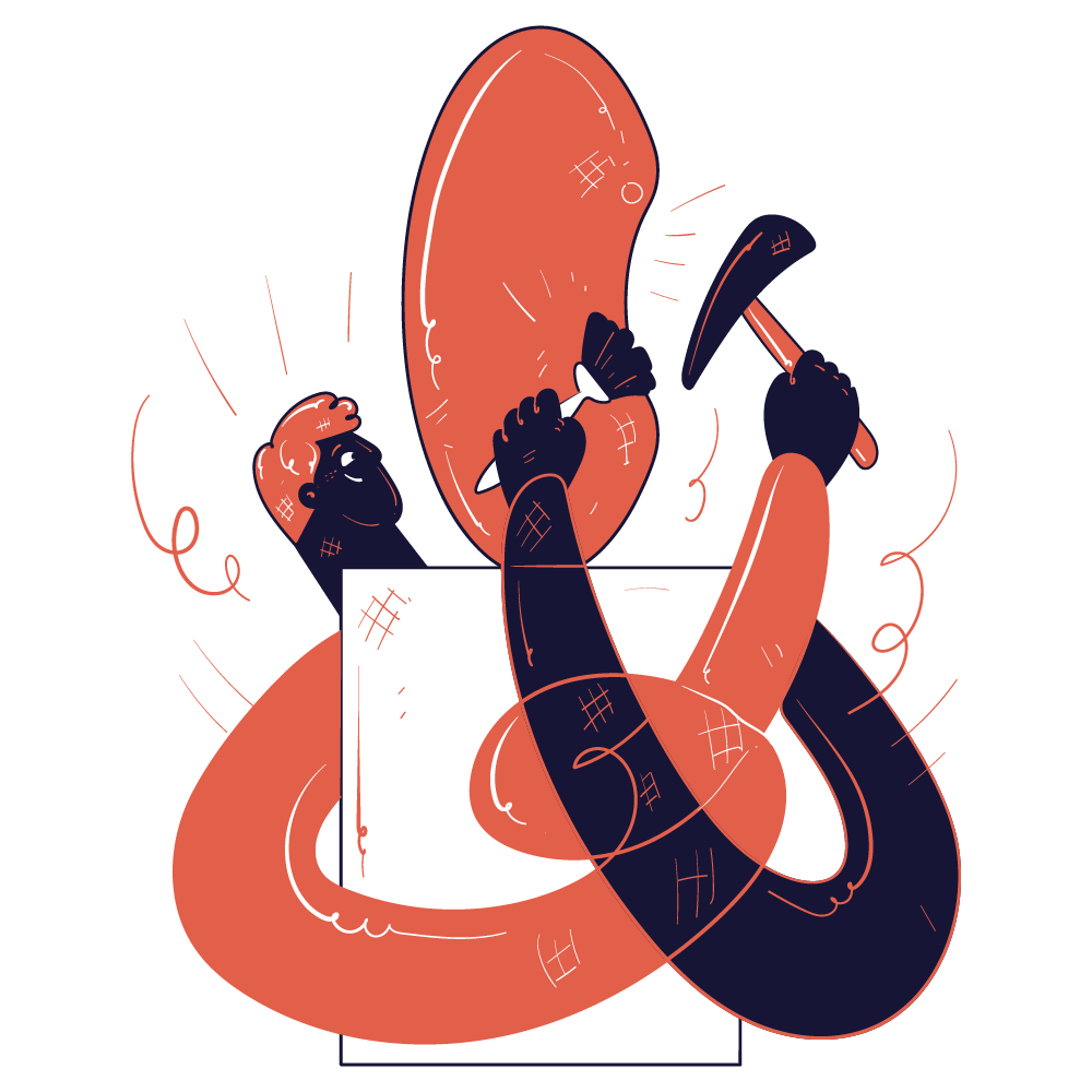 Policy Brief: Advancing E-Governance and Digital Transformation in Iraq 